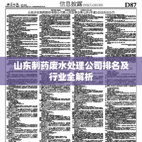 山东制药废水处理公司排名及行业深度解析