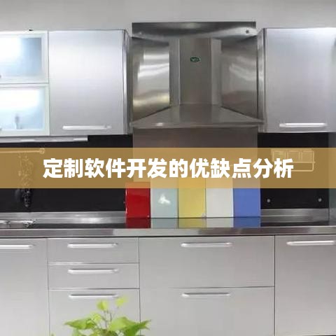 定制软件开发优劣势解析。