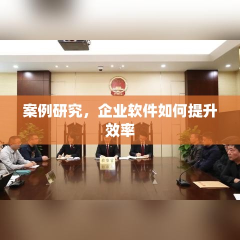 企业软件提升效率案例研究解析