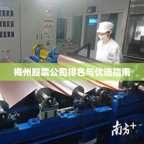 梅州股票公司排名及优选指南