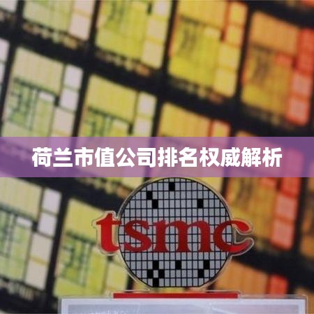 荷兰市值公司排名深度解析