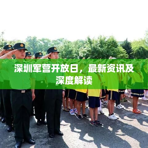 深圳军营开放日深度解读与最新资讯