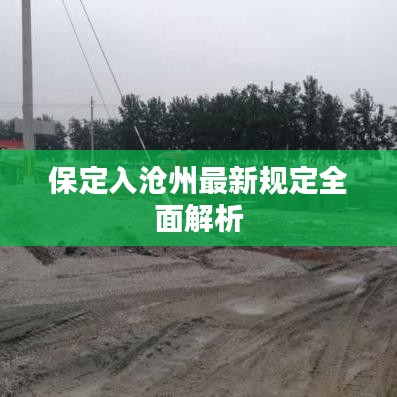 保定入沧州最新规定详解