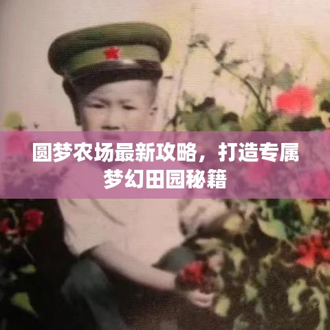 圆梦农场攻略秘籍，打造梦幻田园体验