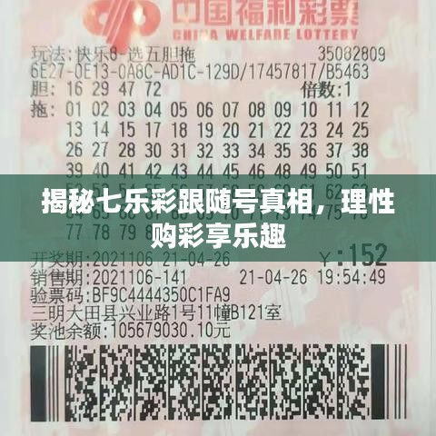 揭秘七乐彩跟随号奥秘，购彩更理性，享受乐趣无限