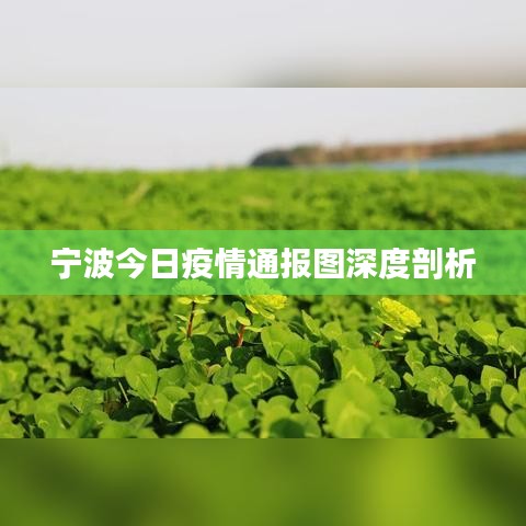 宁波最新疫情通报图表深度解析