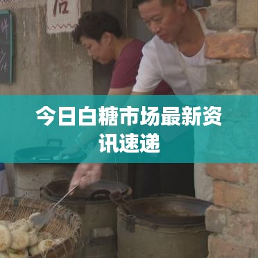 白糖市场今日最新动态速递