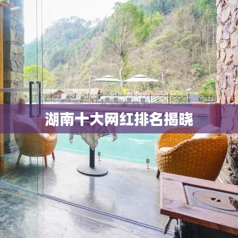 湖南十大网红揭晓榜单