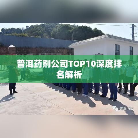普洱药剂公司深度排名TOP10解析