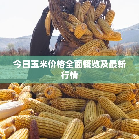 百不获一 第3页