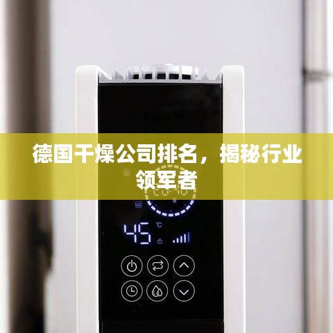 德国干燥公司排名，揭秘行业领军者