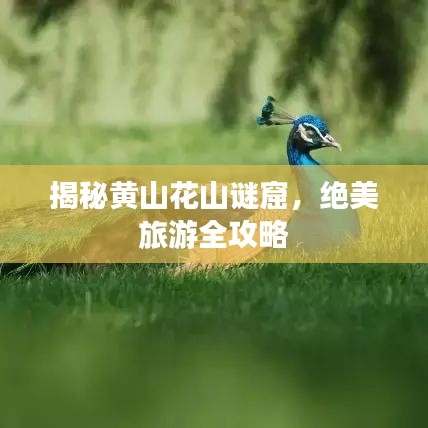 揭秘黄山花山谜窟，绝美旅游全攻略