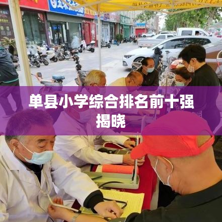 单县小学综合排名前十揭晓，优质教育资源一览
