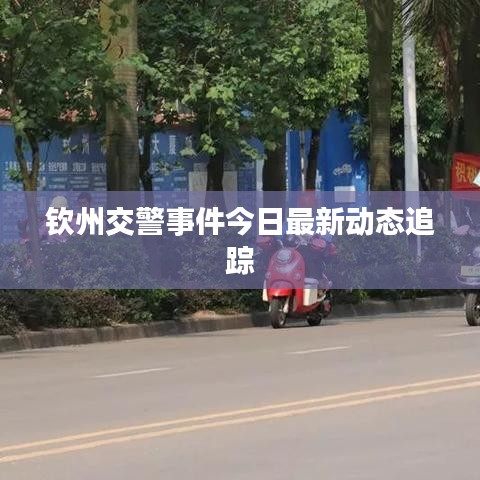 钦州交警事件最新动态实时追踪报道