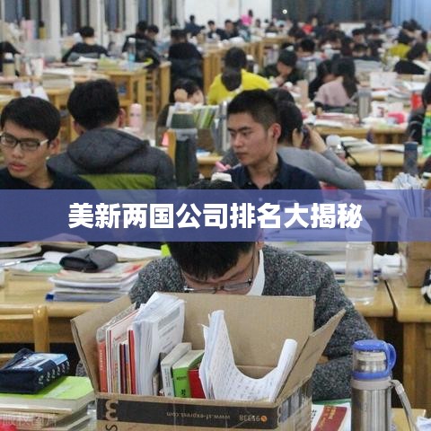 美新两国公司排名揭秘，你不知道的真相！