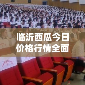 临沂西瓜今日价格行情解析报告