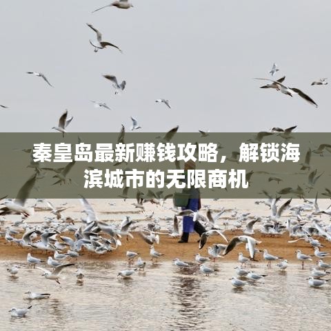 秦皇岛最新赚钱攻略，解锁海滨城市的无限商机