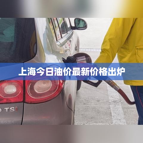 上海今日油价最新价格出炉
