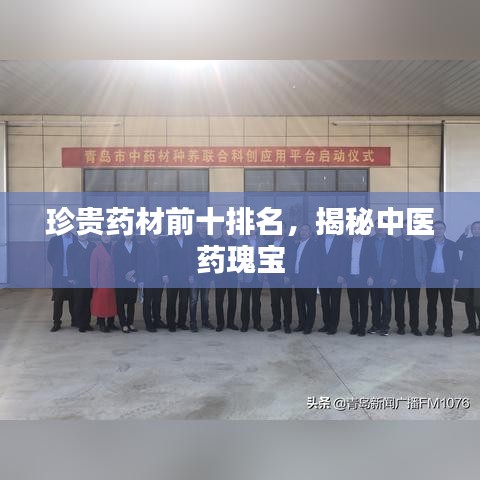 珍贵药材前十排名，揭秘中医药瑰宝