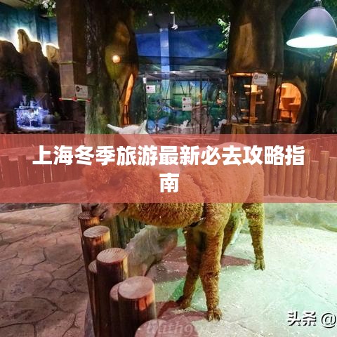 上海冬季旅游最新必去攻略指南