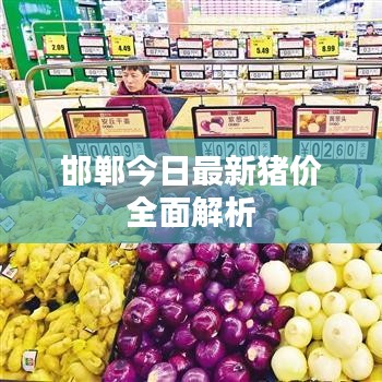 邯郸今日最新猪价全面解析