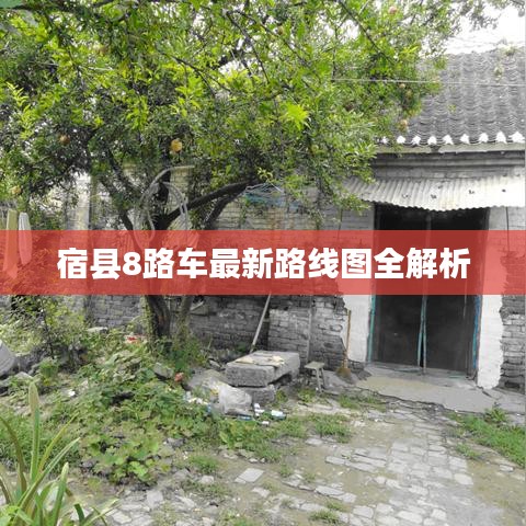 宿县8路车最新路线图全解析