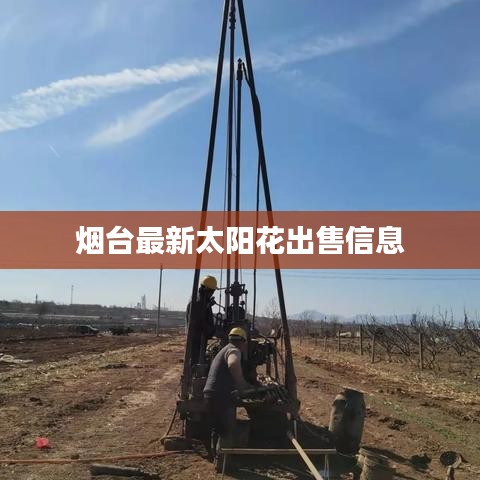 云龙井蛙 第3页