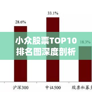 小众股票TOP10排名图深度剖析