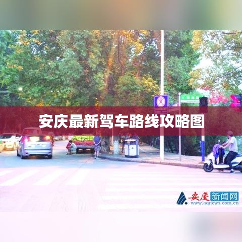 长颈鸟喙 第2页
