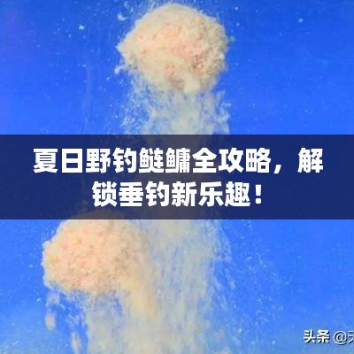 夏日野钓鲢鳙全攻略，解锁垂钓新乐趣！