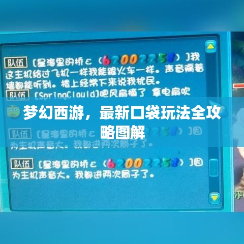 梦幻西游，最新口袋玩法全攻略图解