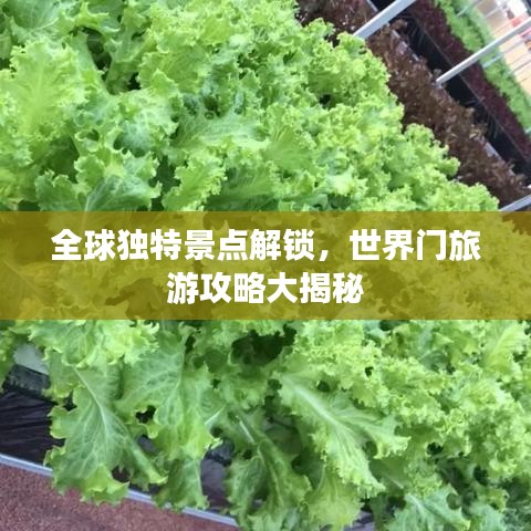 全球独特景点解锁，世界门旅游攻略大揭秘