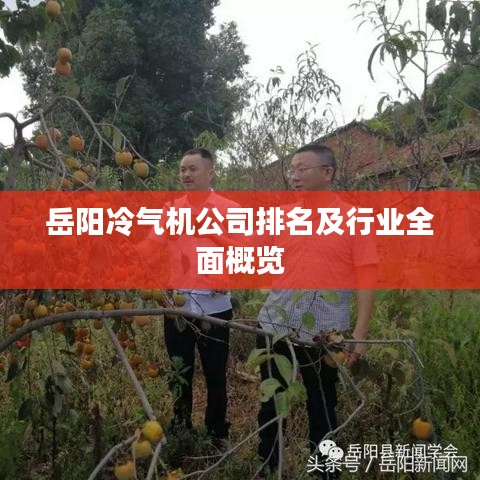 就棍打腿 第3页