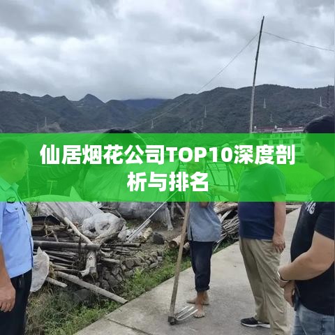 仙居烟花公司TOP10深度剖析与排名