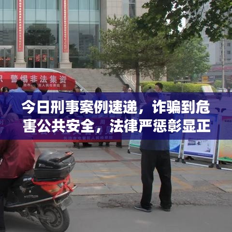 今日刑事案例速递，诈骗到危害公共安全，法律严惩彰显正义