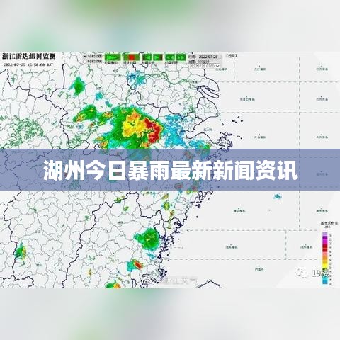 湖州今日暴雨最新新闻资讯