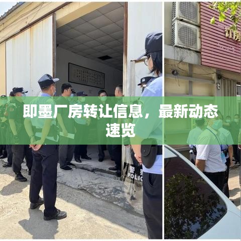 即墨厂房转让信息，最新动态速览