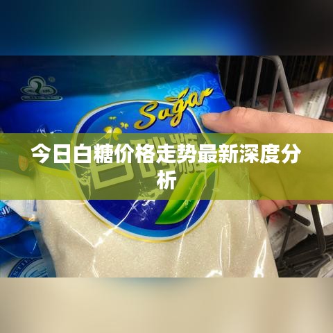 今日白糖价格走势最新深度分析
