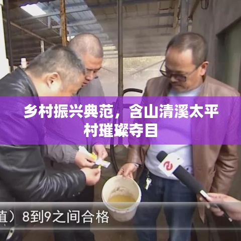 乡村振兴典范，含山清溪太平村璀璨夺目