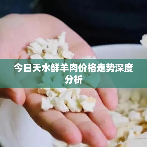 今日天水鲜羊肉价格走势深度分析