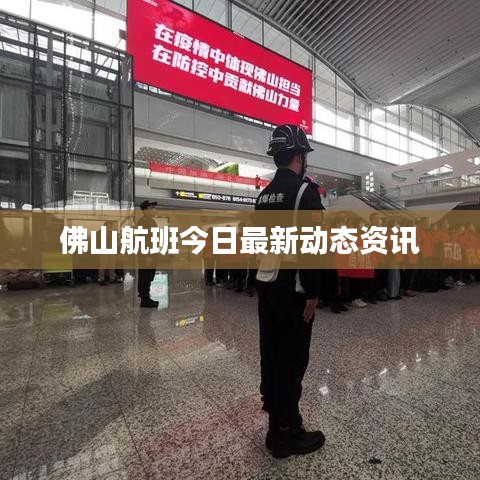 佛山航班今日最新动态资讯