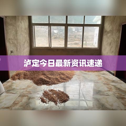 泸定今日最新资讯速递