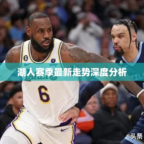 湖人赛季最新走势深度分析