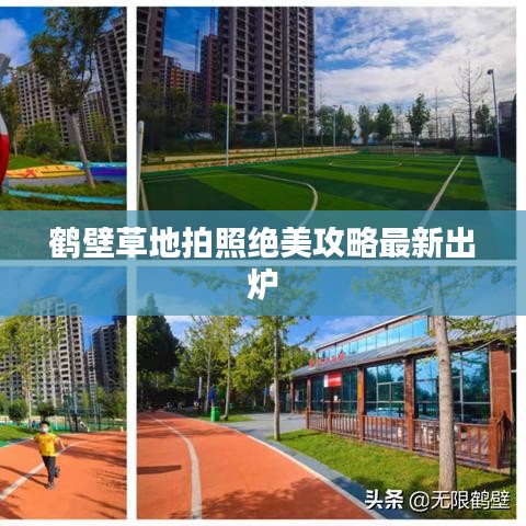 惊弦之鸟 第3页