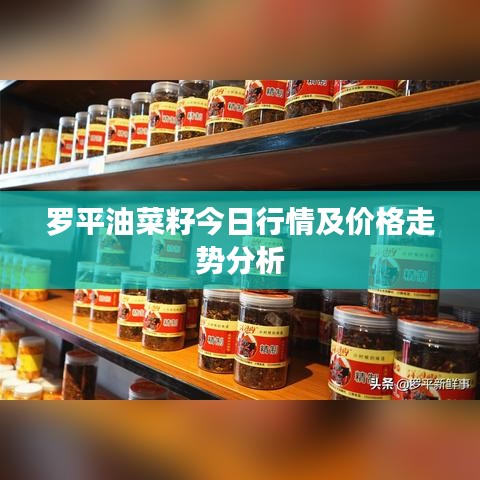 罗平油菜籽今日行情及价格走势分析