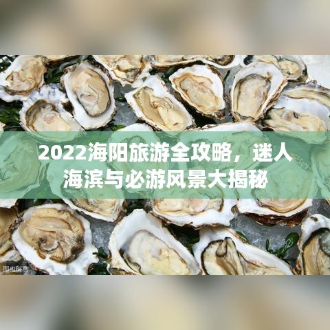 2022海阳旅游全攻略，迷人海滨与必游风景大揭秘
