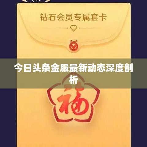 今日头条金服最新动态深度剖析
