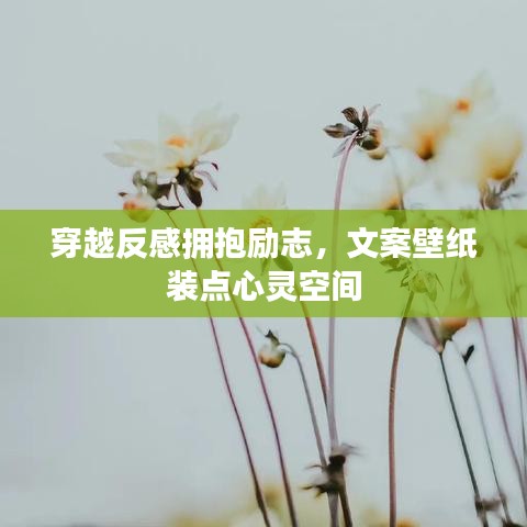 穿越反感拥抱励志，文案壁纸装点心灵空间