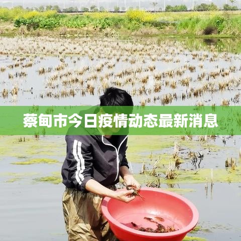 蔡甸市今日疫情动态最新消息