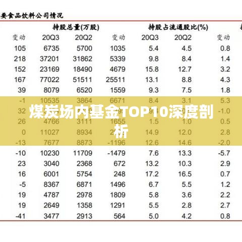 煤炭场内基金TOP10深度剖析